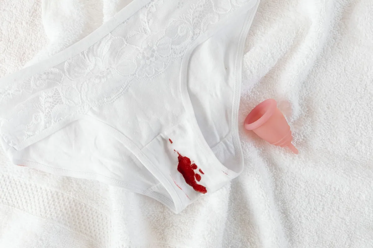Ilustrační foto menstruačních kalhotek