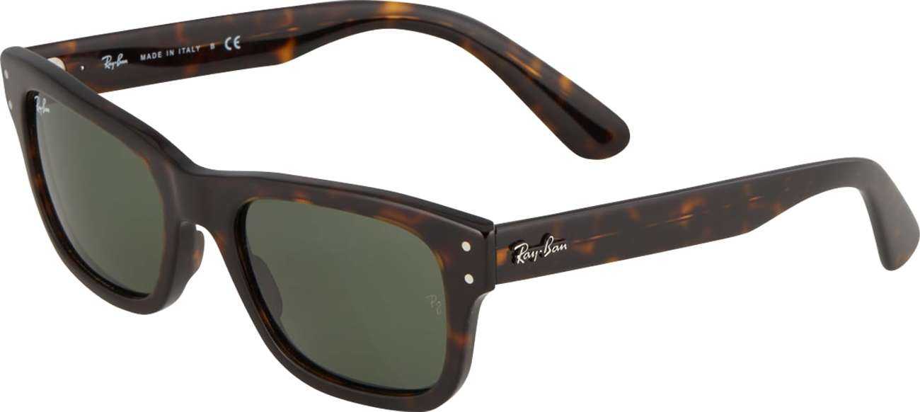 Ray-Ban Sluneční brýle '0RB2283' hnědá / zelená