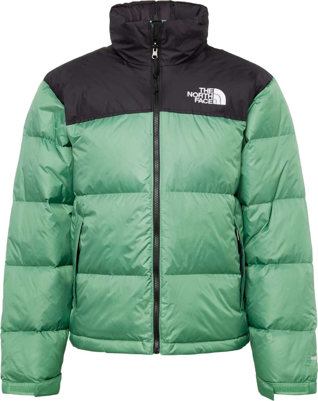 THE NORTH FACE Zimní bunda '1996 RTO NUPTSE' tmavě zelená / černá / bílá