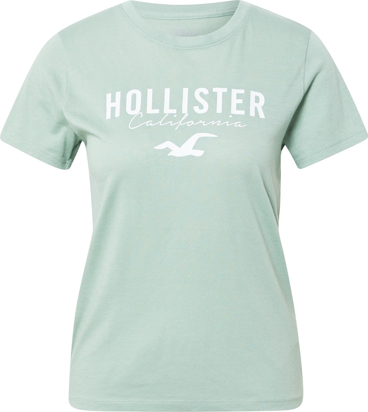 HOLLISTER Tričko světle zelená / bílá