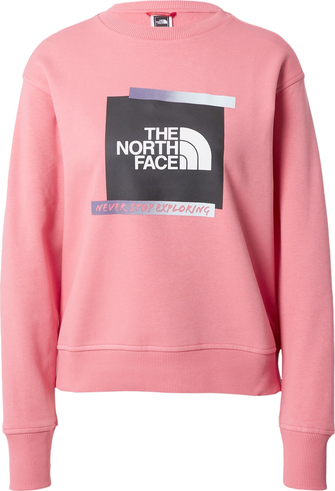 THE NORTH FACE Mikina světle šedá / tmavě fialová / pink / černá