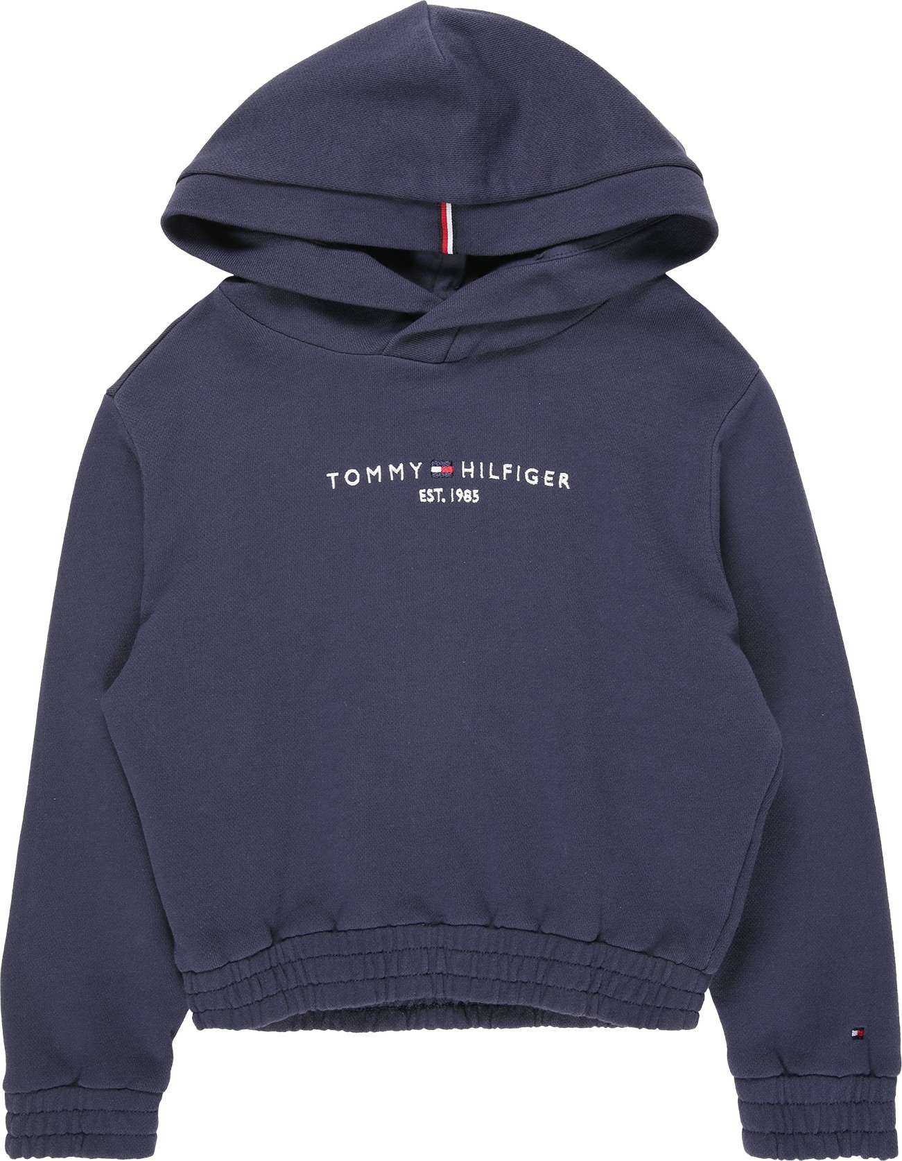 TOMMY HILFIGER Mikina námořnická modř / červená / bílá