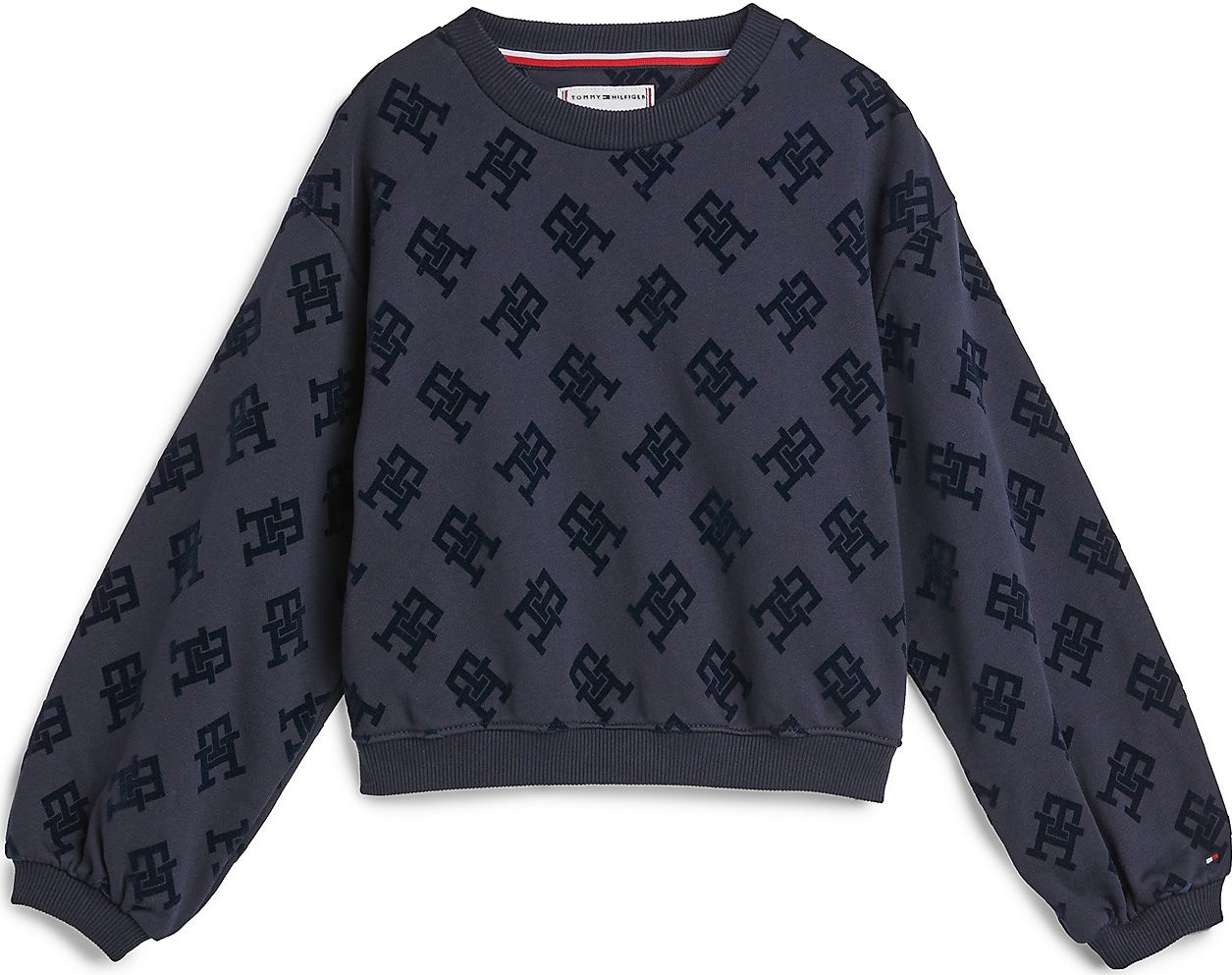 TOMMY HILFIGER Mikina noční modrá / černá