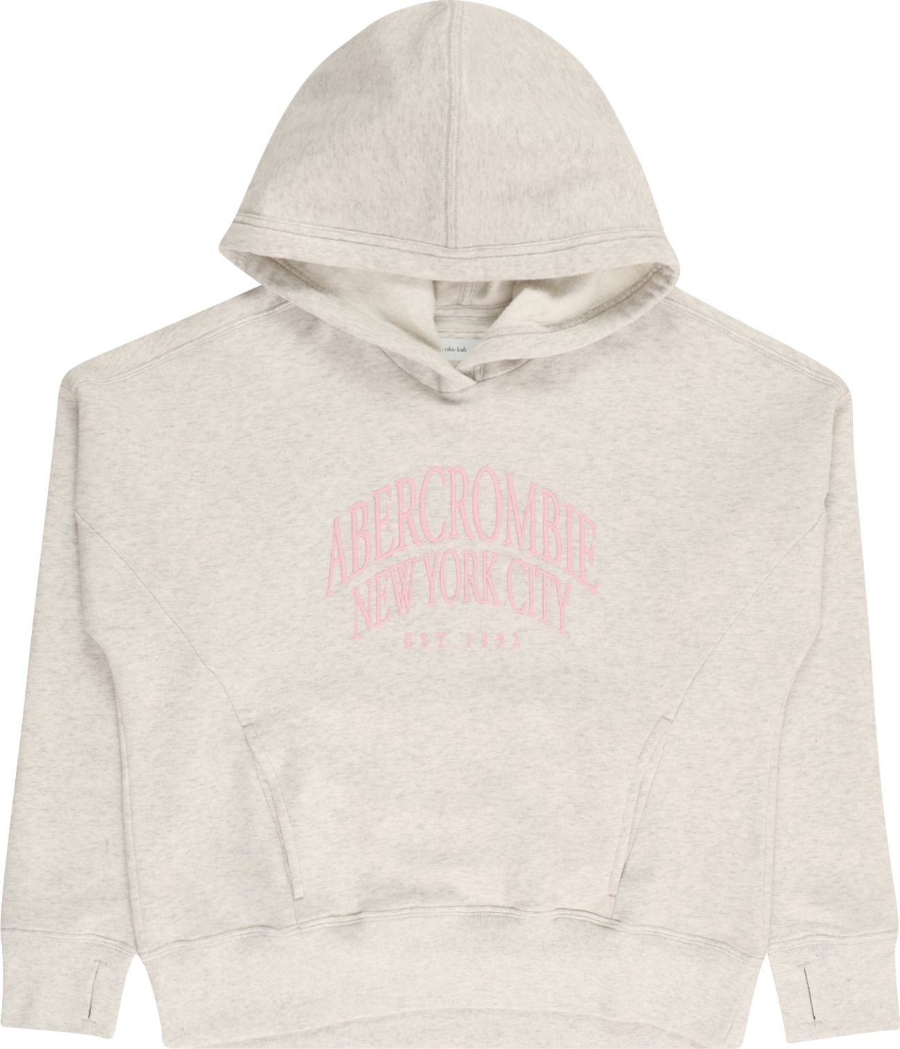 Abercrombie & Fitch Mikina režná / světle růžová