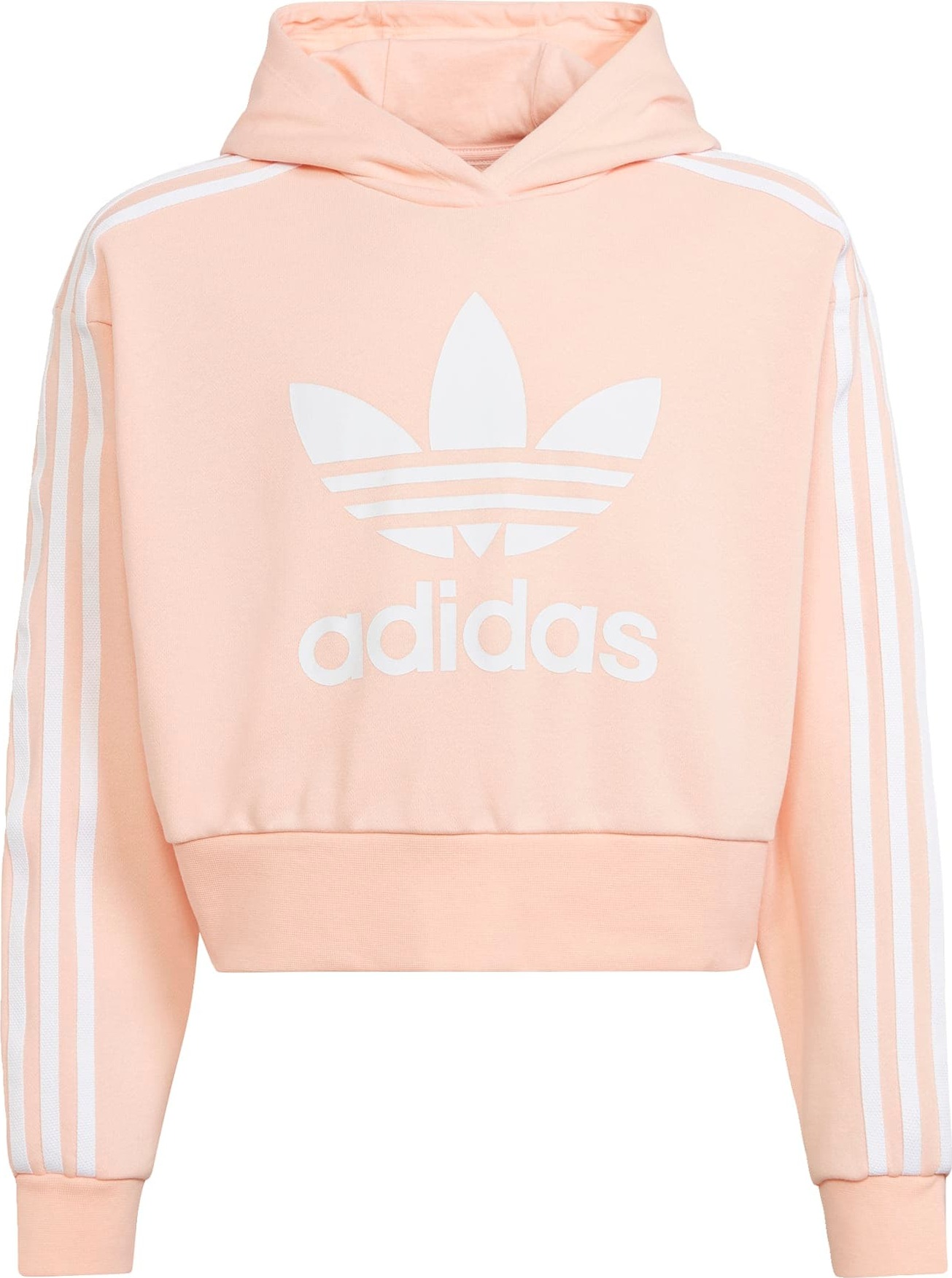 ADIDAS ORIGINALS Mikina 'Adicolor' pink