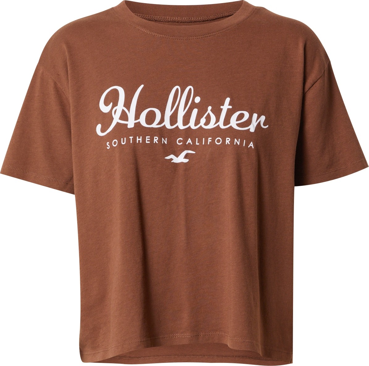 HOLLISTER Tričko hnědá / bílá