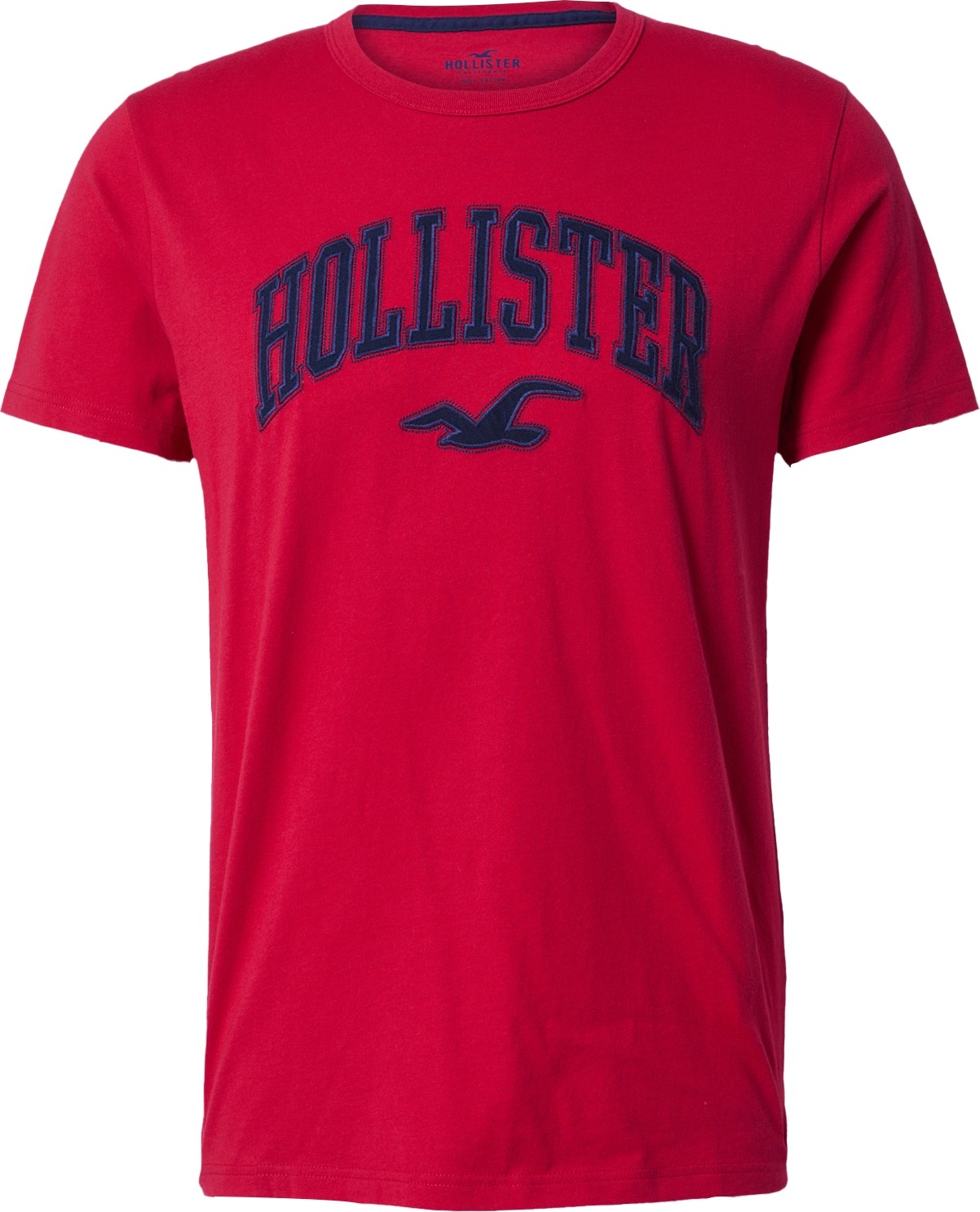 HOLLISTER Tričko kouřově modrá / červená / černá