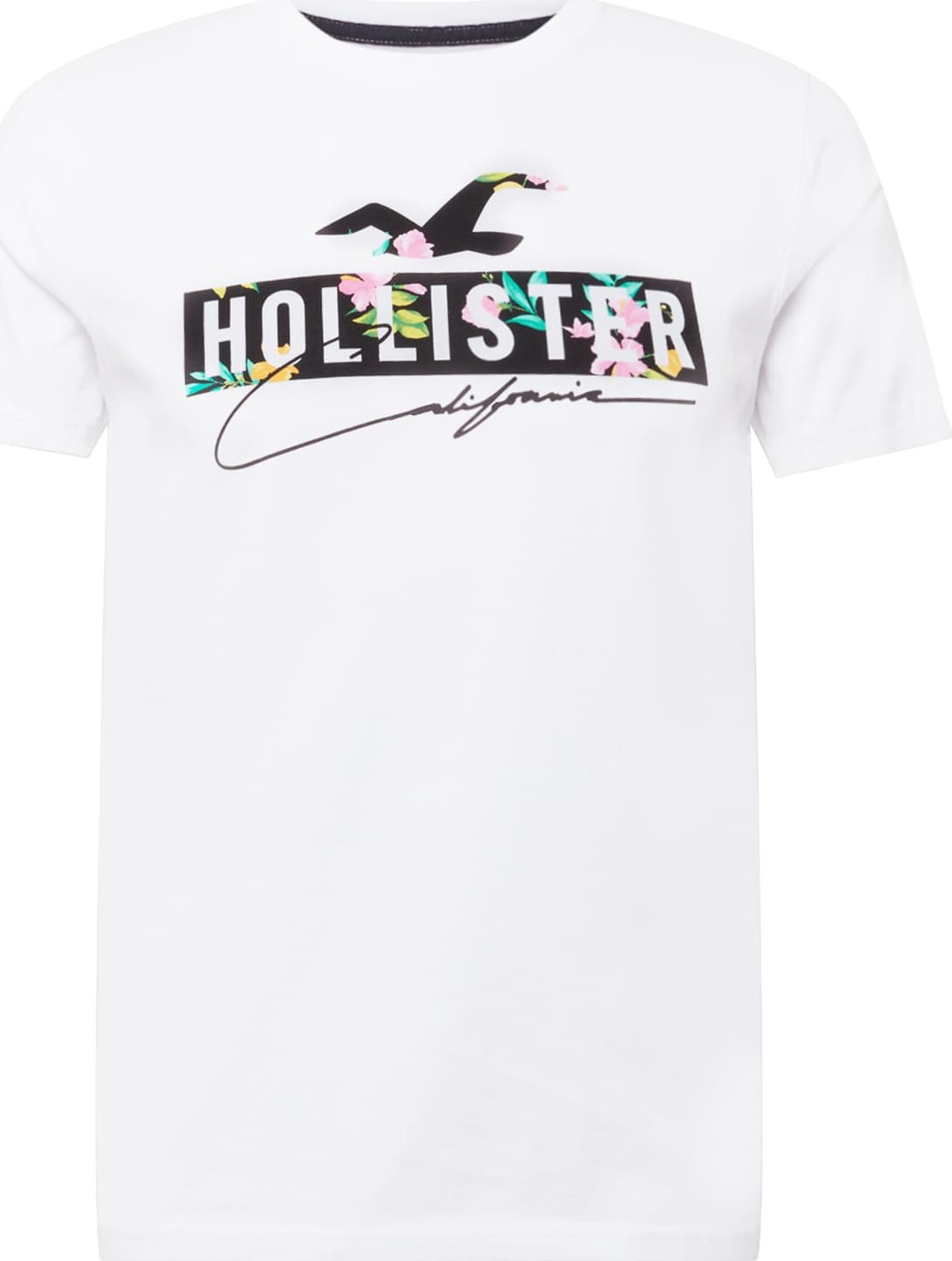 HOLLISTER Tričko zelená / růžová / černá / offwhite